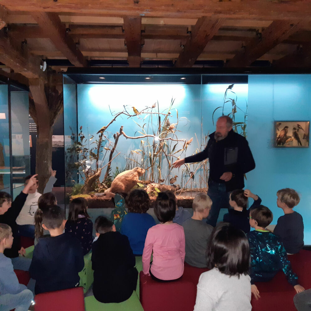 Besuch der Klassen 1 im Museum Biberach